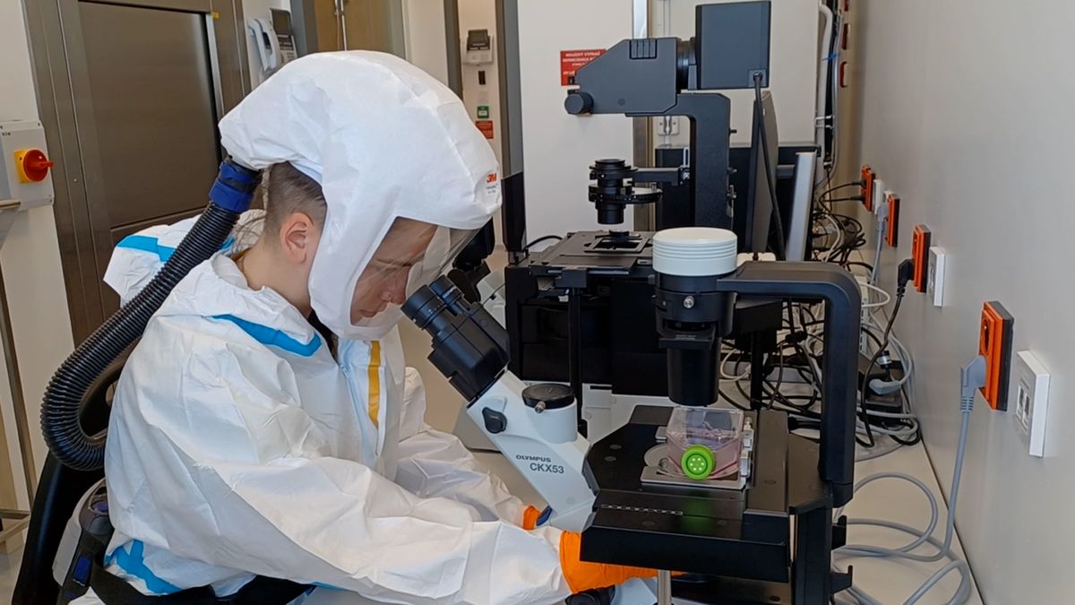 V nové laboratoři u Prahy se budou zkoumat zákeřné a nebezpečné viry